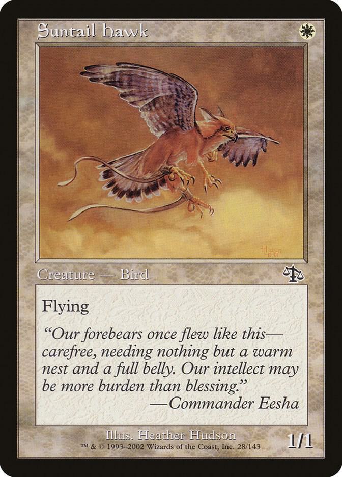 Suntail Hawk [Judgment] 28