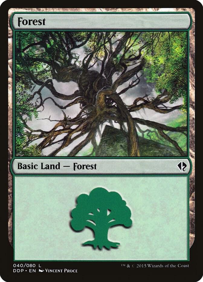 Forest (040) [Duel Decks: Zendikar vs. Eldrazi] 40