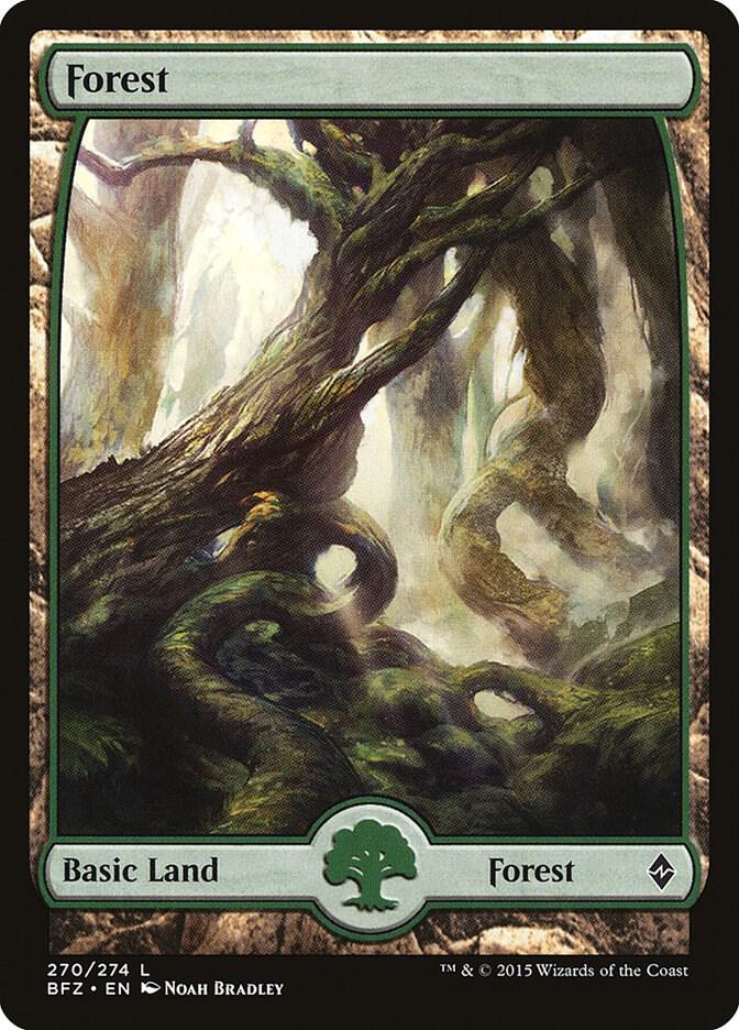 Forest (270) - Full Art [Battle for Zendikar] 270