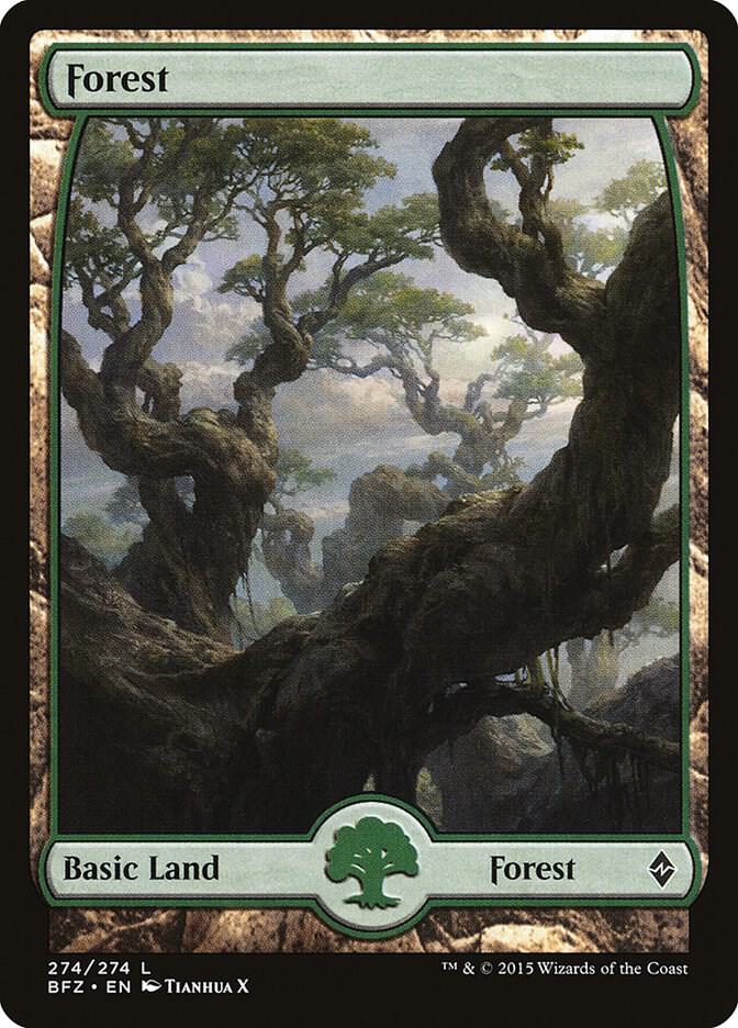 Forest (274) - Full Art [Battle for Zendikar] 274