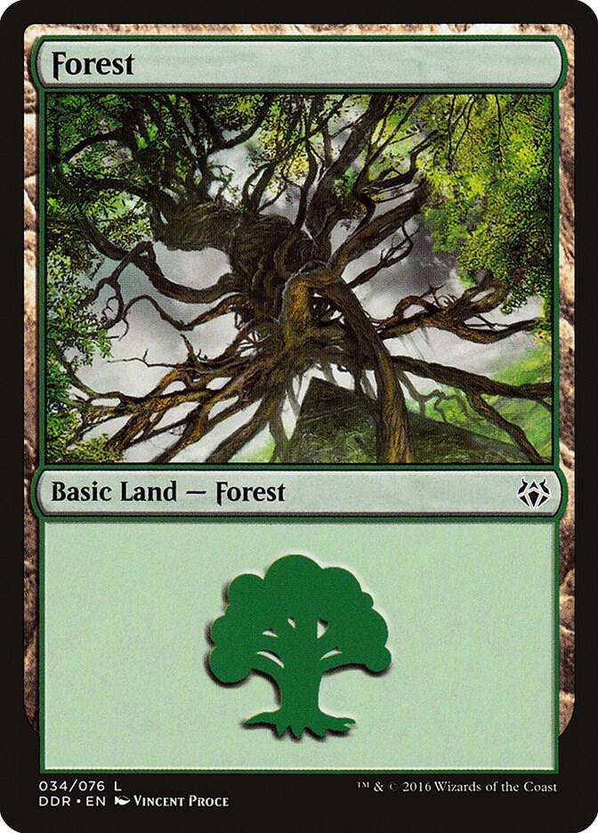 Forest (034) [Duel Decks: Nissa vs. Ob Nixilis] 34