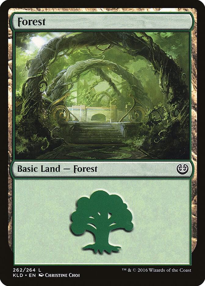 Forest (262) [Kaladesh] 262
