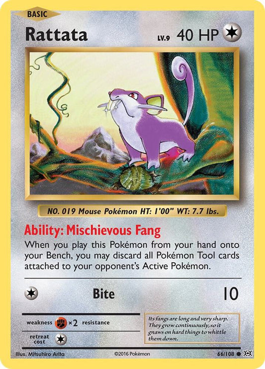 Rattata [XY - Evolutions] 66/108