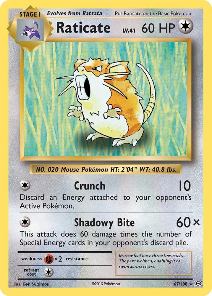 Raticate [XY - Evolutions] 67/108