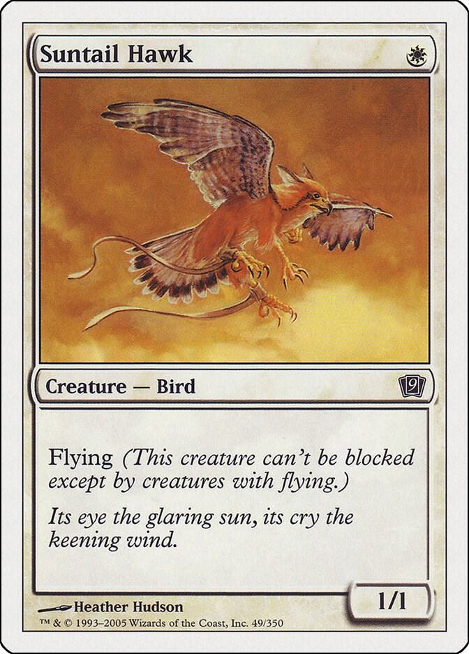 Suntail Hawk [9th Edition] 49