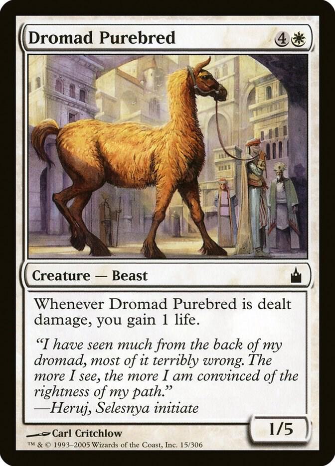 Dromad Purebred [Ravnica: City of Guilds] 15