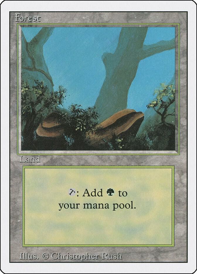 Forest (A) [Revised Edition] 284