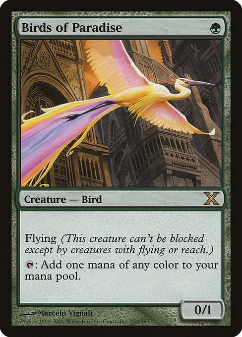 Birds of Paradise [10th Edition] 252