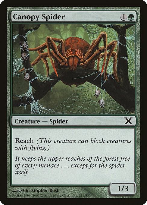 Canopy Spider [10th Edition] 254