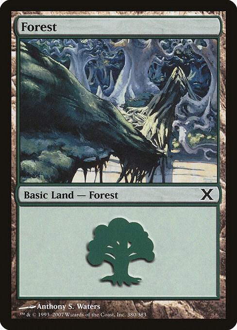 Forest (380) [10th Edition] 380