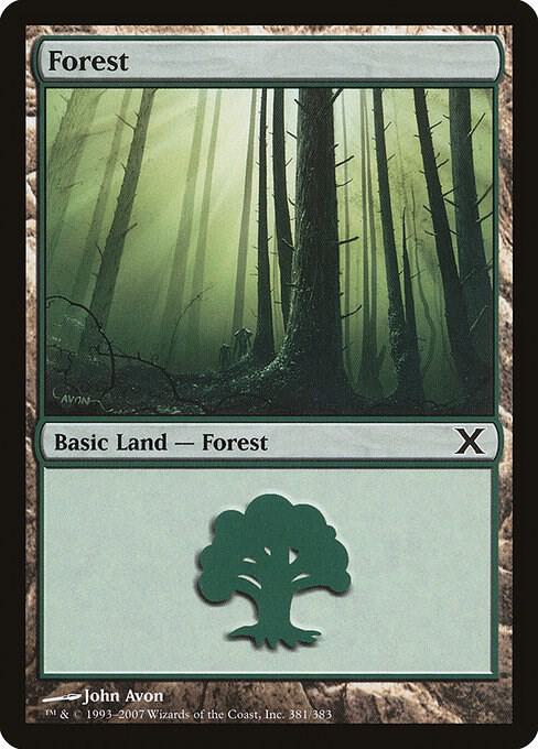 Forest (381) [10th Edition] 381