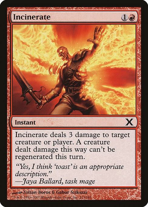 Incinerate [10th Edition] 213