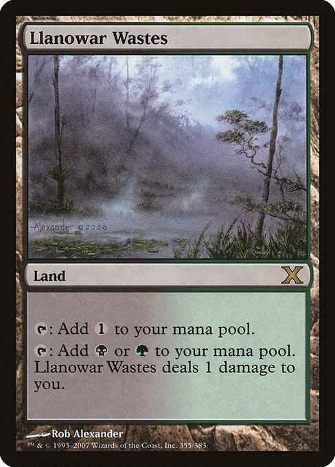 Llanowar Wastes [10th Edition] 355