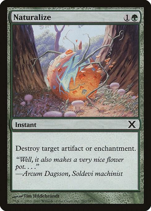 Naturalize [10th Edition] 282
