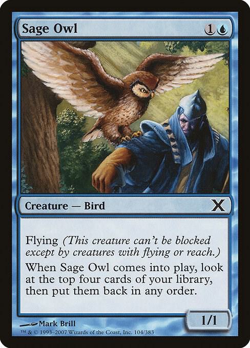 Sage Owl [10th Edition] 104