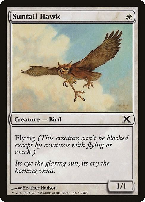 Suntail Hawk [10th Edition] 50