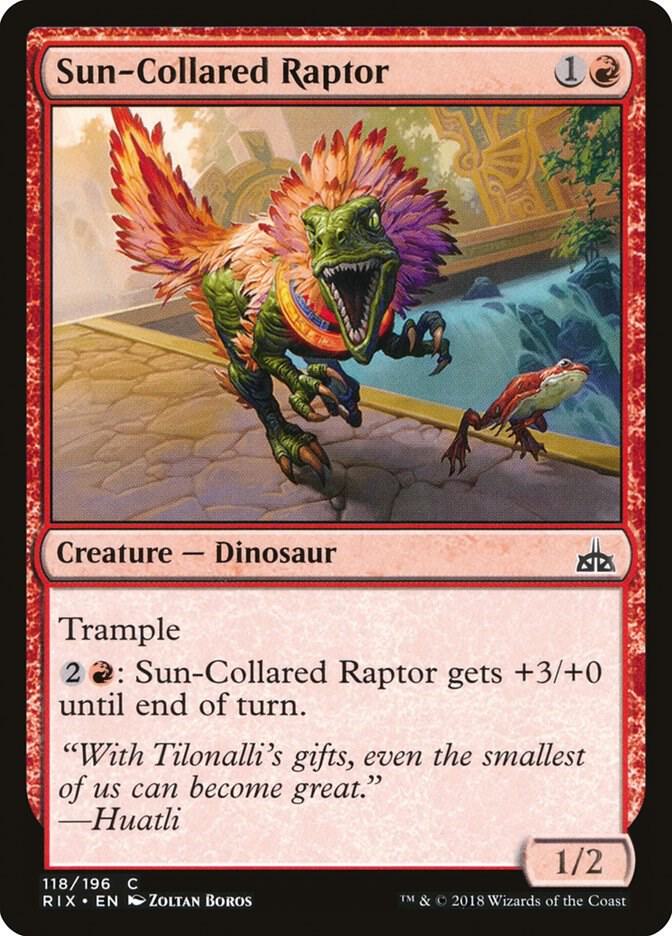 Sun-Collared Raptor [Rivals of Ixalan] 118