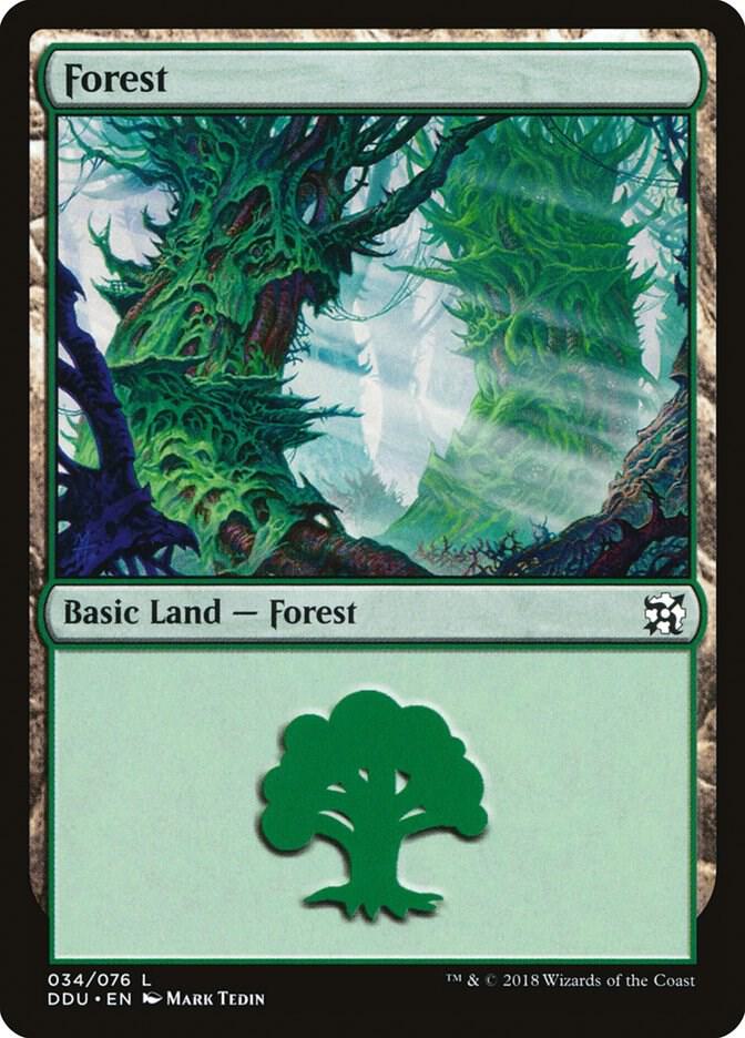 Forest (034) [Duel Decks: Elves vs. Inventors] 34