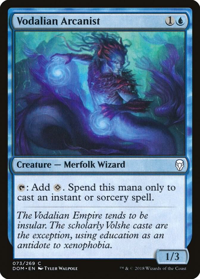 Vodalian Arcanist [Dominaria] 73