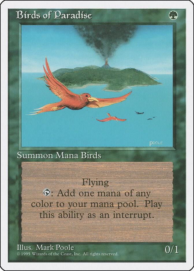 Birds of Paradise [Fourth Edition] 118