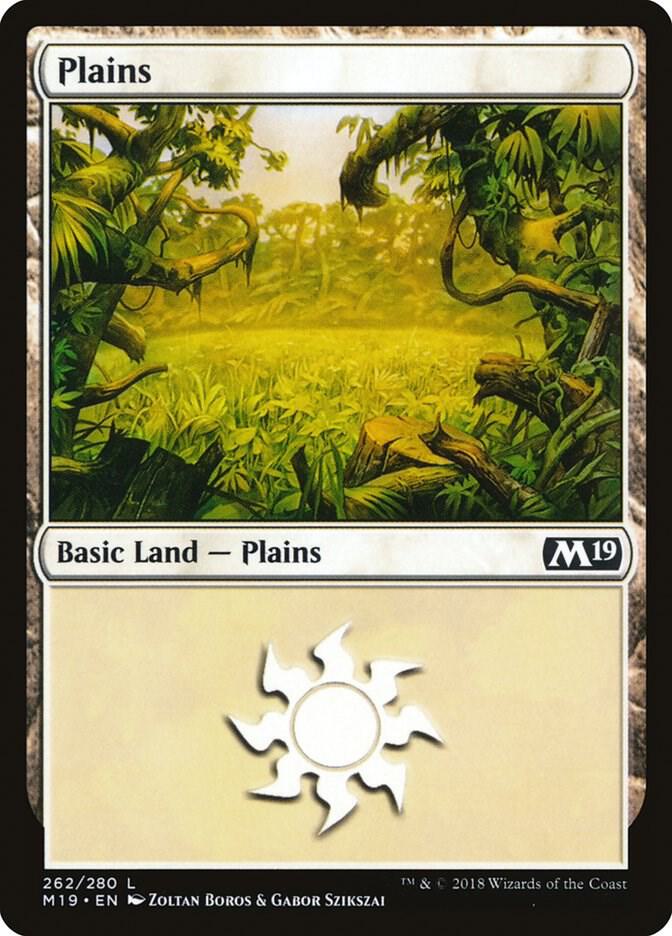 Plains (262) [Core Set 2019] 262