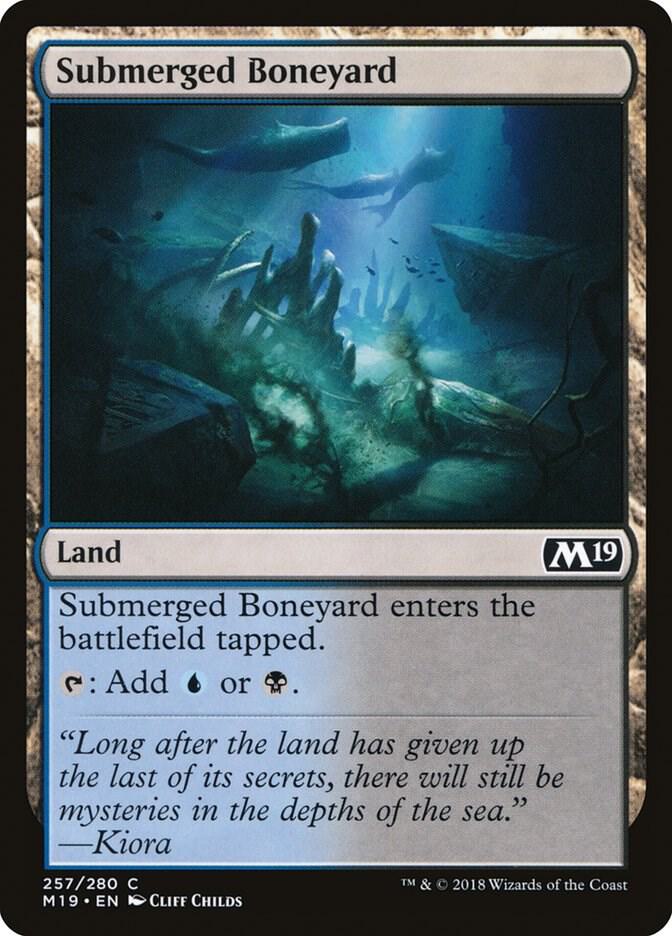 Submerged Boneyard [Core Set 2019] 257