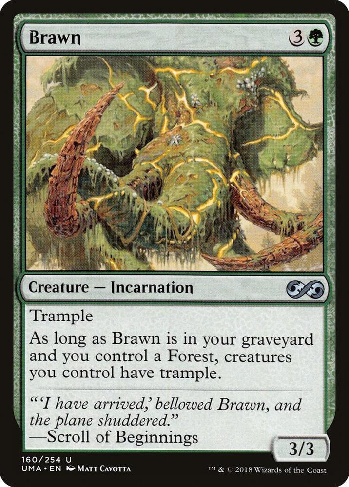 Brawn [Ultimate Masters] 160