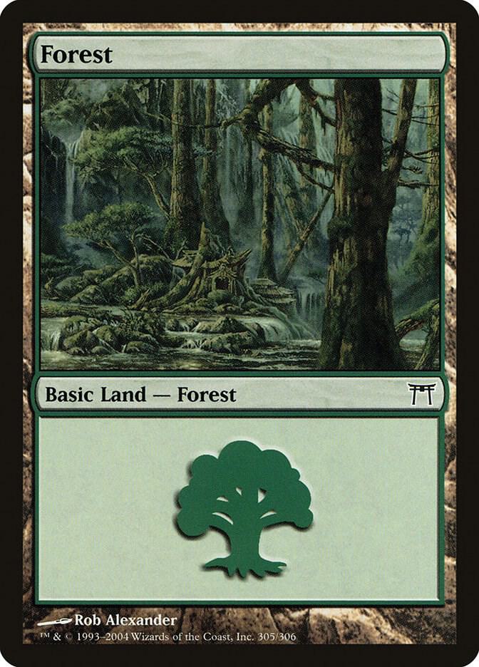 Forest (305) [Champions of Kamigawa] 305