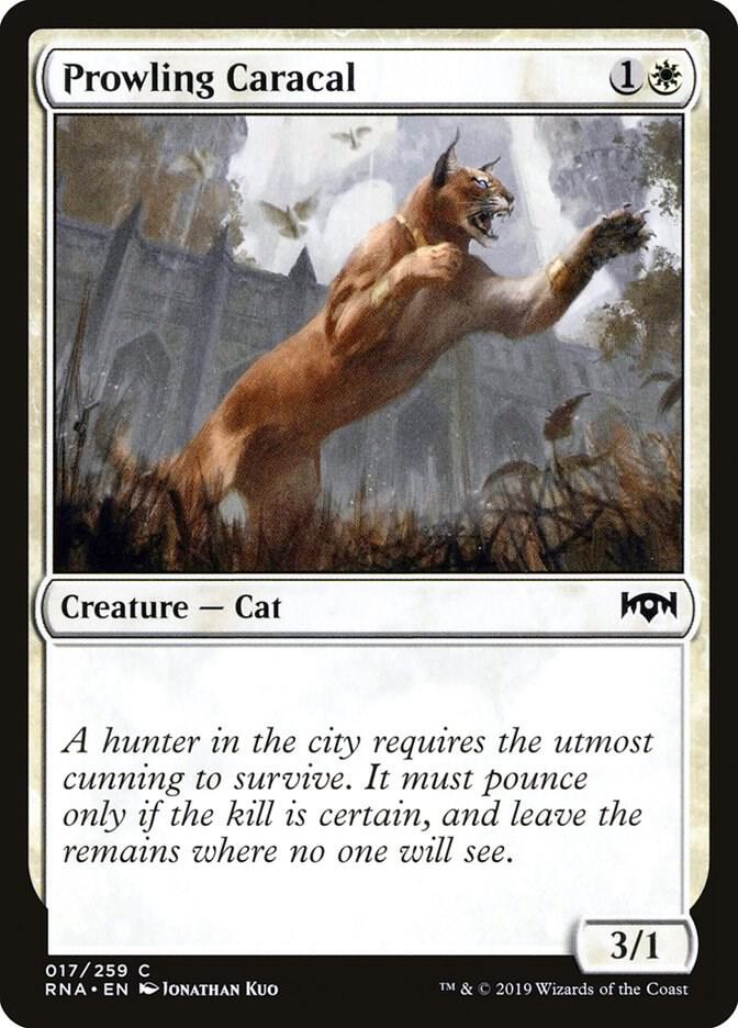 Prowling Caracal [Ravnica Allegiance] 17
