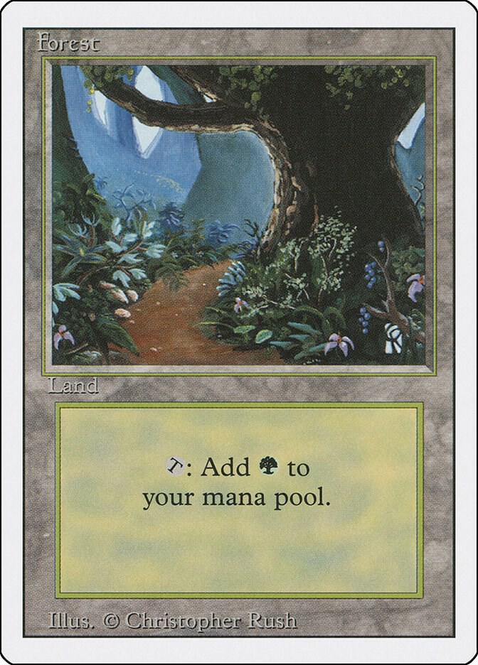 Forest (B) [Revised Edition] 286