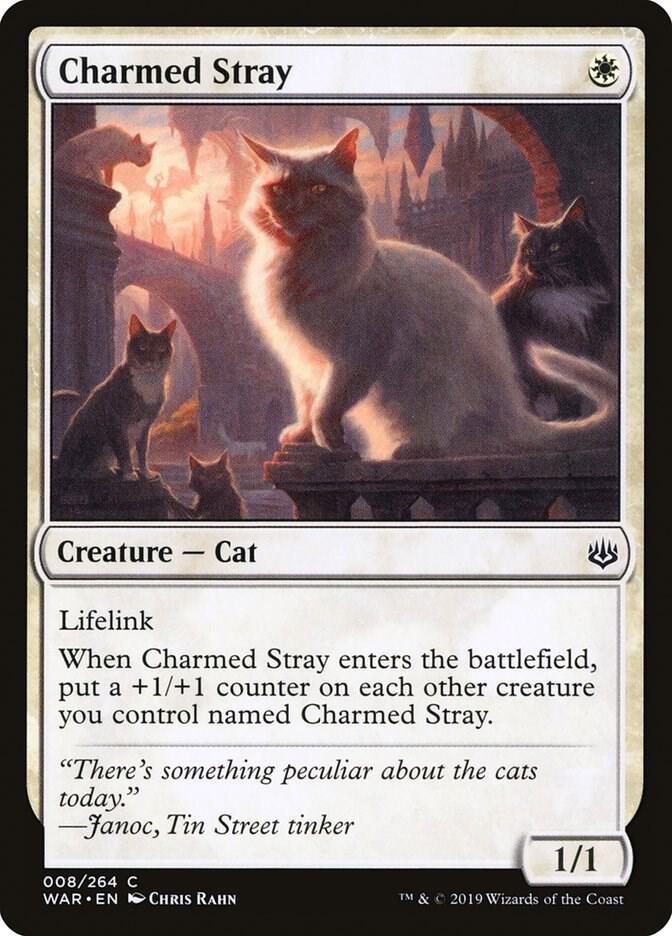 Charmed Stray [War of the Spark] 8