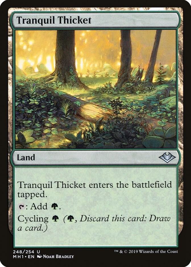 Tranquil Thicket [Modern Horizons] 248