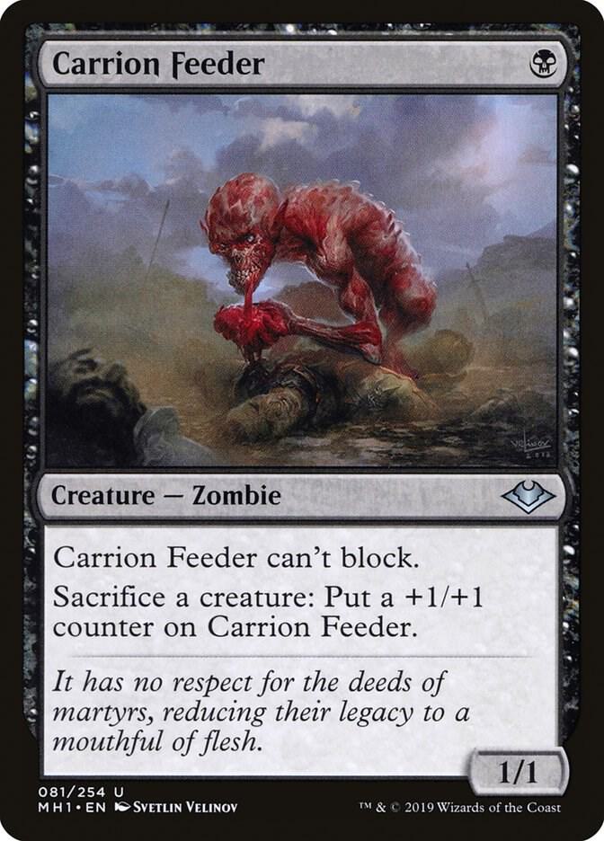 Carrion Feeder [Modern Horizons] 81