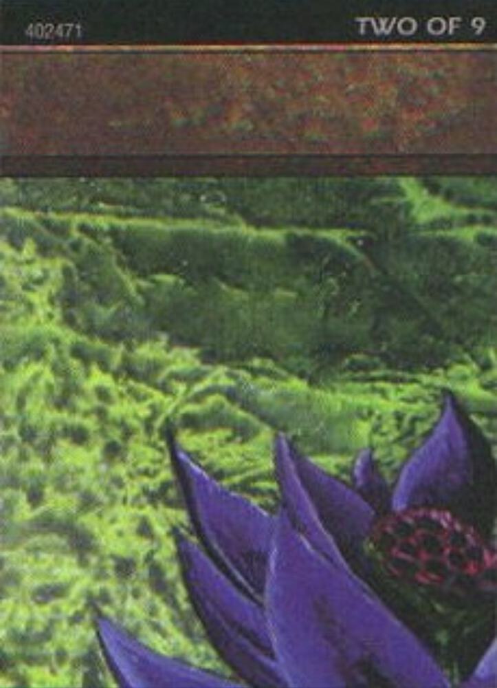 Black Lotus (2 of 9) (Ultra Pro Puzzle Quest) [Media Promos] 1