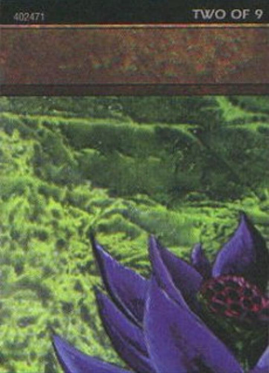 Black Lotus (2 of 9) (Ultra Pro Puzzle Quest) [Media Promos] 1