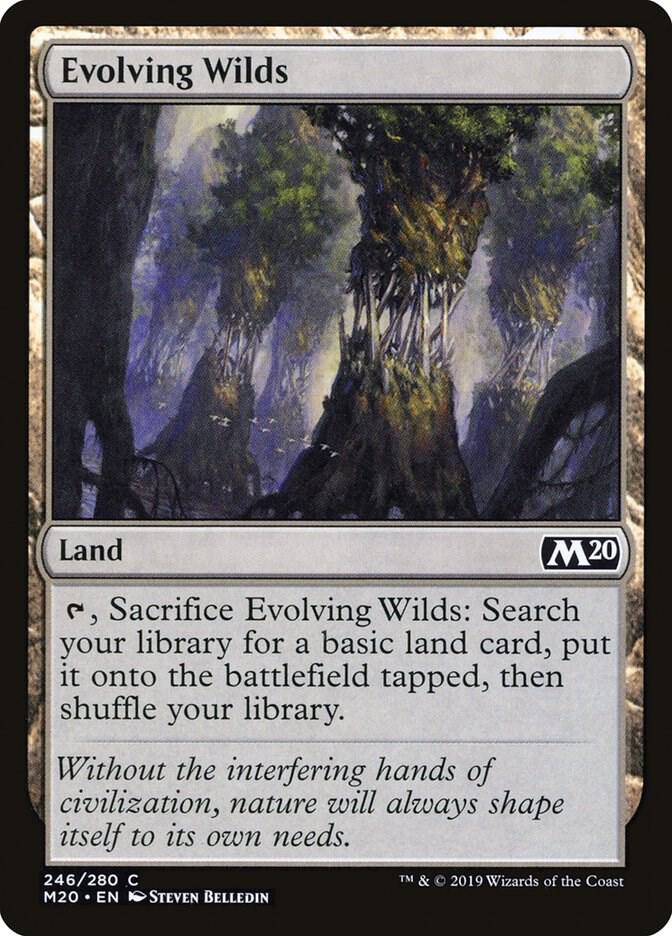 Evolving Wilds [Core Set 2020] 246