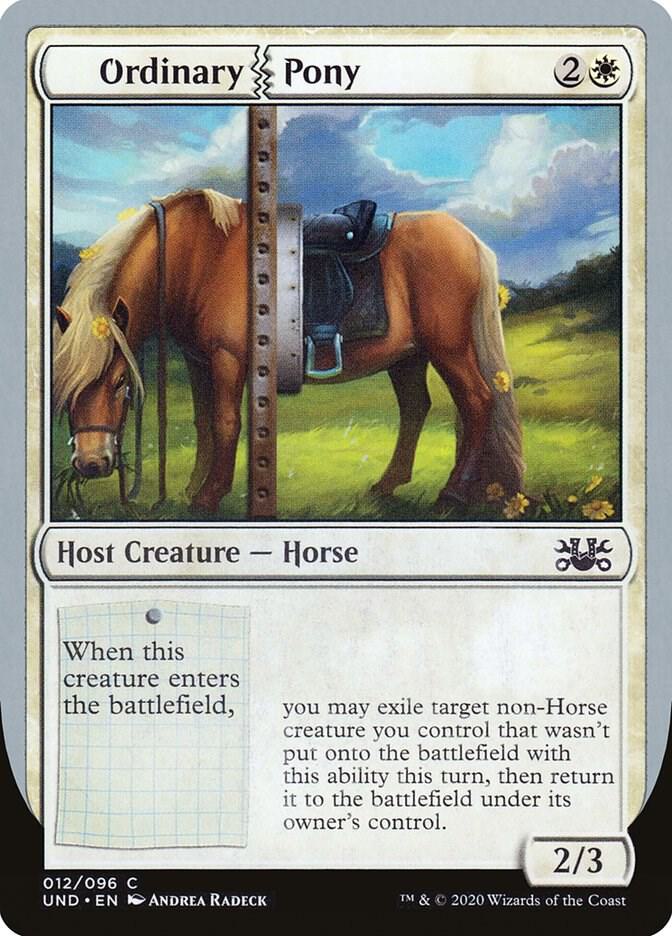 Ordinary Pony [Unsanctioned] 12