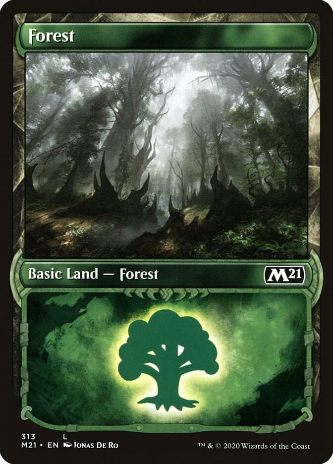 Forest (Showcase) [Core Set 2021] 313