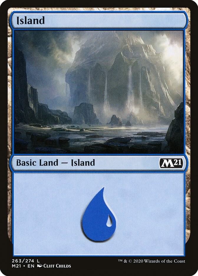 Island (263) [Core Set 2021] 263