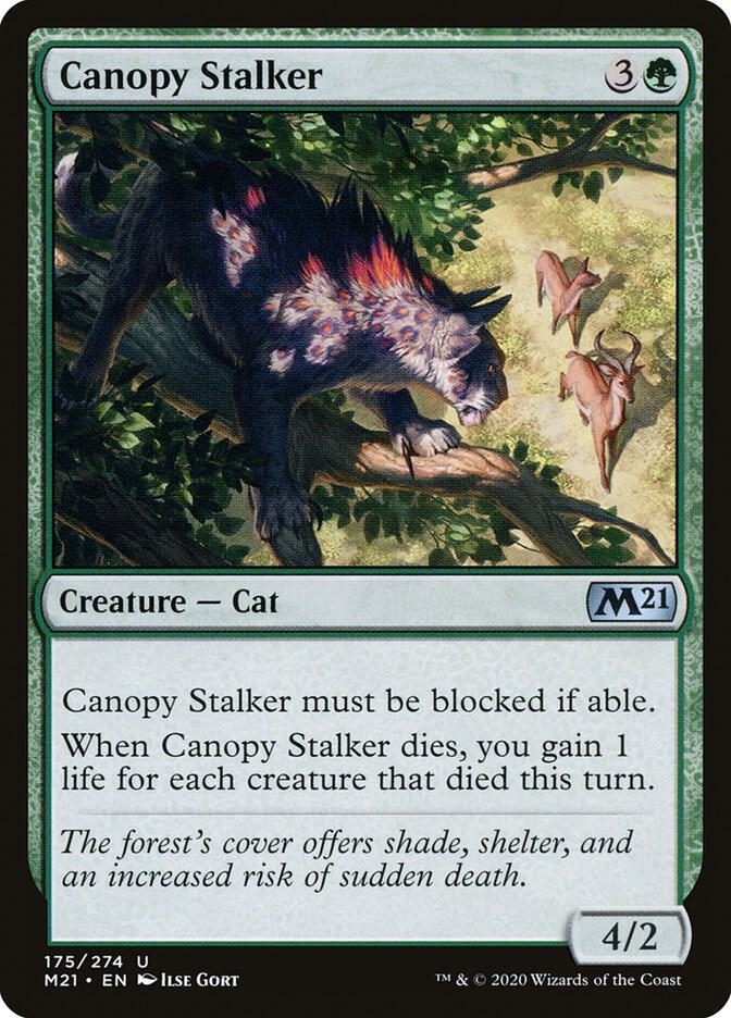 Canopy Stalker [Core Set 2021] 175
