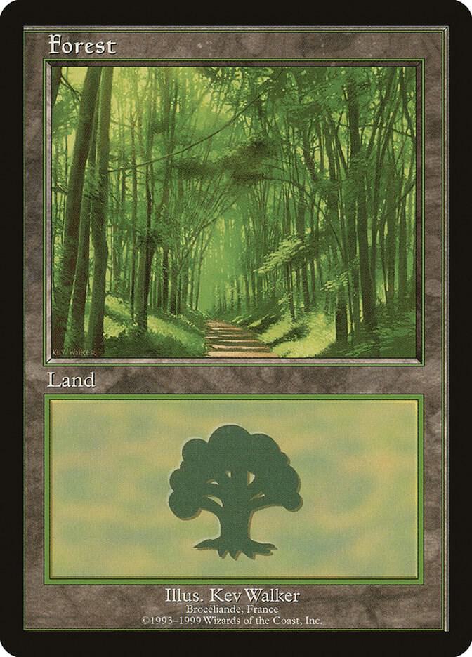 Forest - Broceliande [European Lands] 6