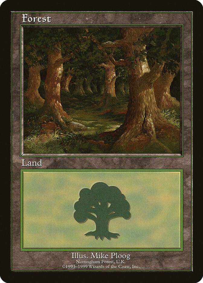 Forest - Nottingham [European Lands] 11