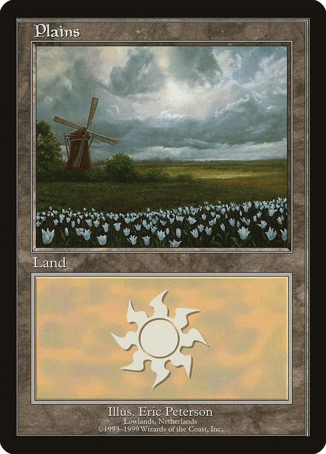 Plains - Lowlands, Netherlands [European Lands] 9