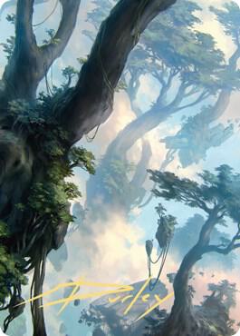 Forest Art Card (19/81) (Gold-Stamped Signature) [Art Series: Zendikar Rising] 19