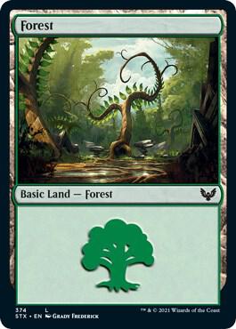 Forest (374) [Strixhaven: School of Mages] 374