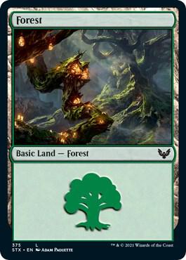 Forest (375) [Strixhaven: School of Mages] 375