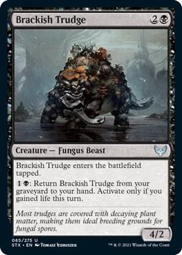 Brackish Trudge [Strixhaven: School of Mages] 65
