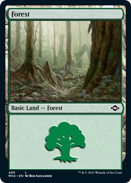 Forest (489) (Foil Etched) [Modern Horizons 2] 489