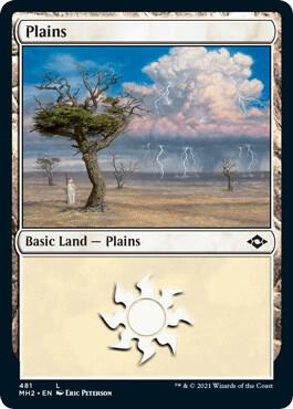 Plains (481) (Foil Etched) [Modern Horizons 2] 481
