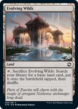 Evolving Wilds [Adventures in the Forgotten Realms] 256
